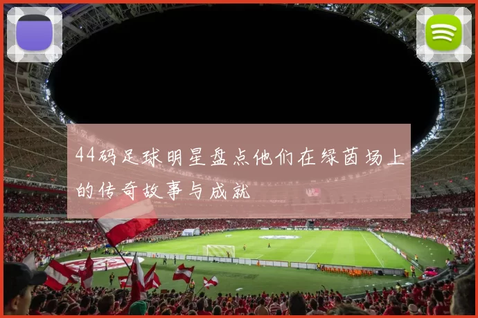 44码足球明星盘点他们在绿茵场上的传奇故事与成就