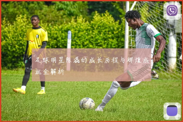 足球明星陈磊的成长历程与辉煌成就全解析
