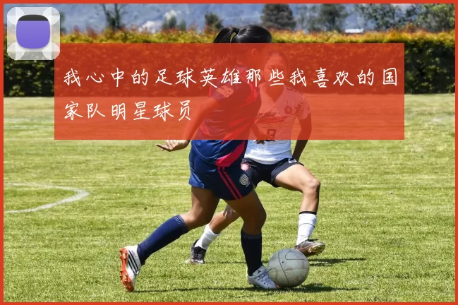 我心中的足球英雄那些我喜欢的国家队明星球员