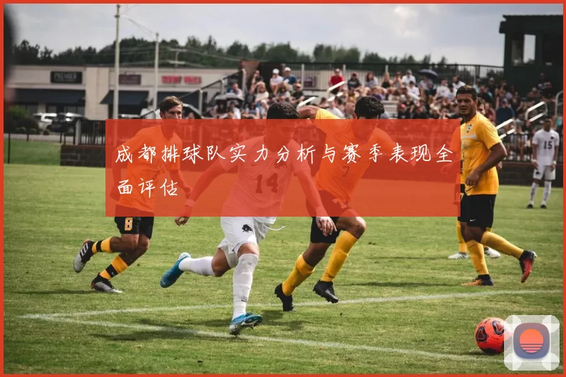 成都排球队实力分析与赛季表现全面评估