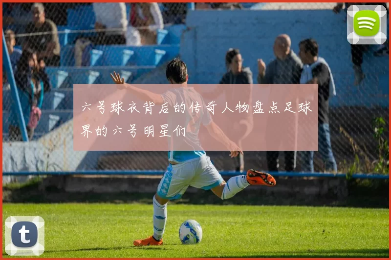 六号球衣背后的传奇人物盘点足球界的六号明星们