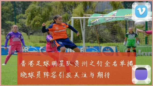 香港足球明星队贵州之行全名单揭晓球员阵容引发关注与期待