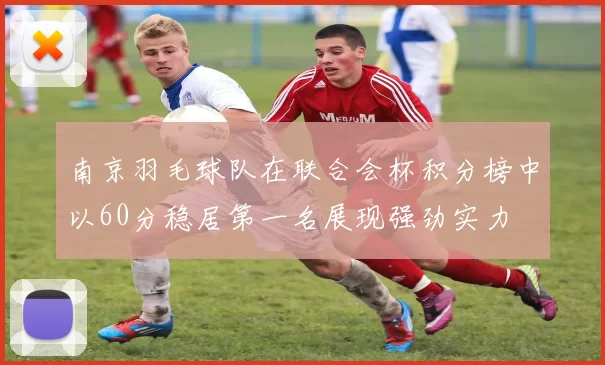 南京羽毛球队在联合会杯积分榜中以60分稳居第一名展现强劲实力
