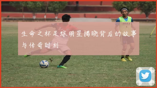 生命之杯足球明星揭晓背后的故事与传奇时刻