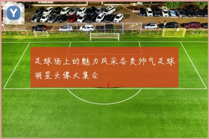 足球场上的魅力风采各类帅气足球明星头像大集合