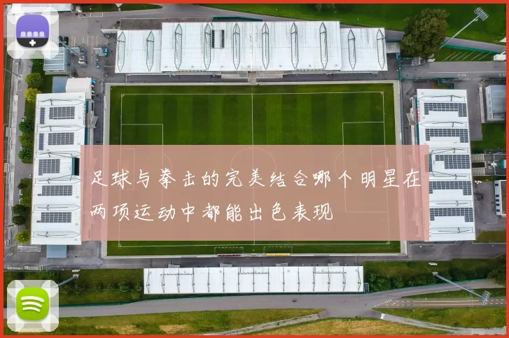 足球与拳击的完美结合哪个明星在两项运动中都能出色表现
