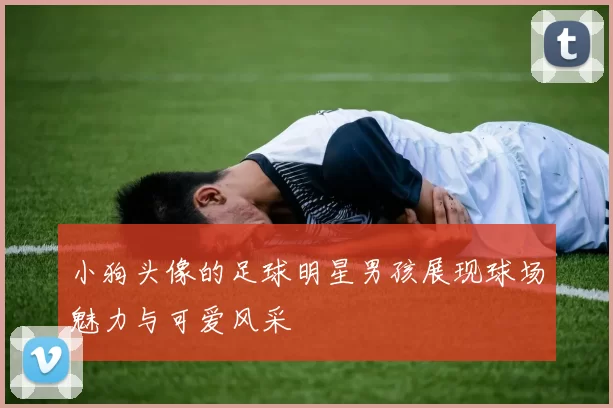 小狗头像的足球明星男孩展现球场魅力与可爱风采