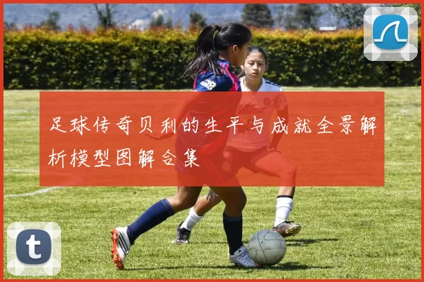 足球传奇贝利的生平与成就全景解析模型图解合集