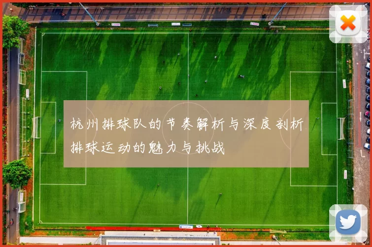 杭州排球队的节奏解析与深度剖析排球运动的魅力与挑战